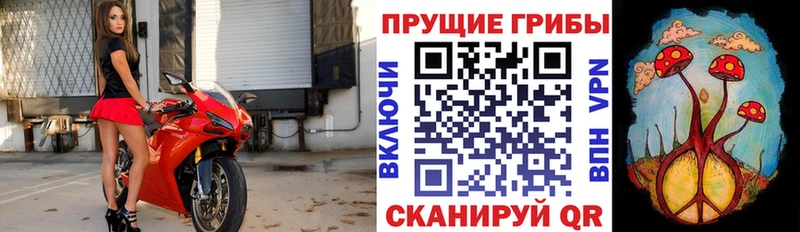 Псилоцибиновые грибы Magic Shrooms  купить   Тетюши 